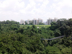 Blk 85 Telok Blangah Heights (Bukit Merah), HDB 5 Rooms #163067232